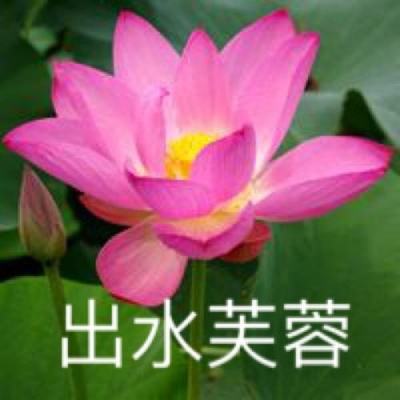 燃烧的蔬菜4新鲜战队手游下载